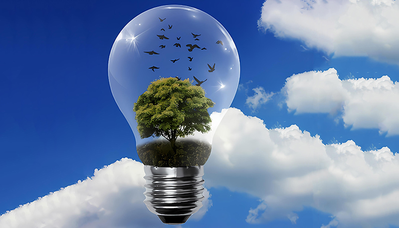 Ukraine menyaksikan peningkatan 10% dalam penjanaan tenaga boleh diperbaharui