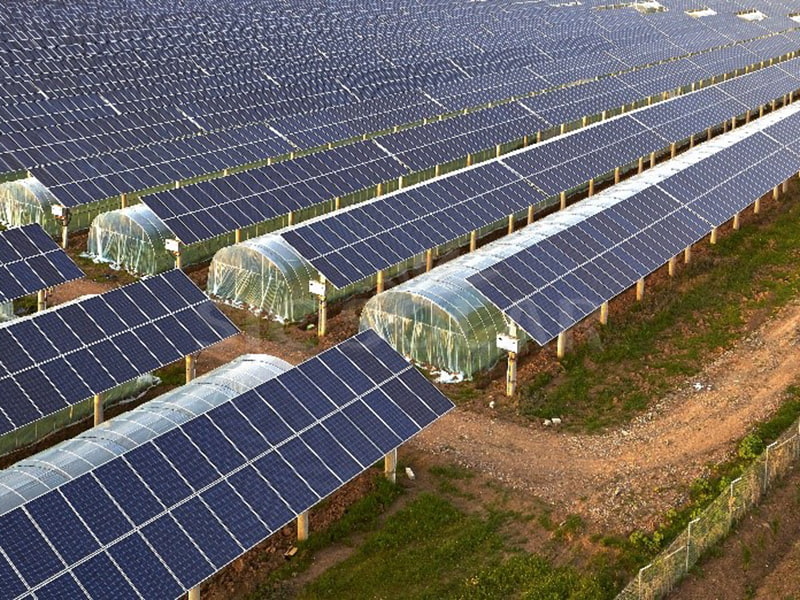 Sistem Pemasangan Solar Ladang 10MW Di India