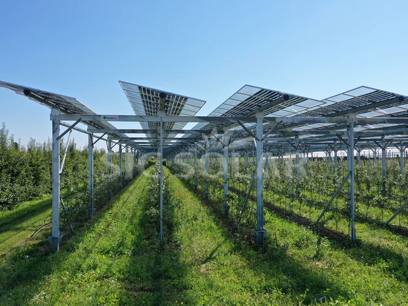 Sistem Pemasangan Pertanian Solar 500KW di Belanda