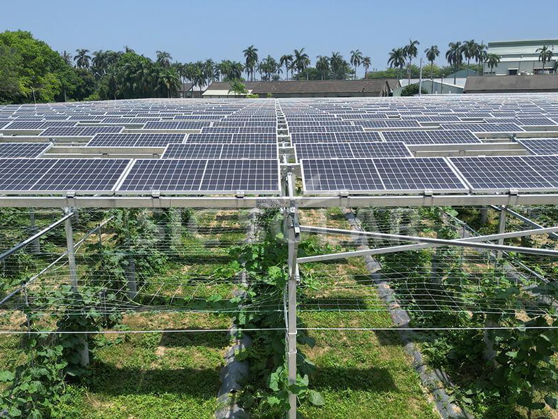 Pendakap Pendirian Pv Solar Pertanian 500KW Di Amerika Syarikat